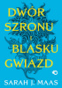 Okładka książki Dwór szronu i blasku gwiazd