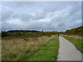 SK4543 : National Cycle Route 67 West of Shipley Common, Ilkeston by Oxymoron