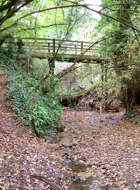 Footbridge across Bottom Dumble