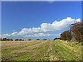  : Stubble near the road to Clyffe Pypard by Brian Robert Marshall