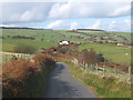  : Lane above Gilfach by Andrew Hill