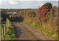 SS8678 : Hedgerow and track by Tythegston by eswales