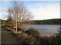  : Track alongside Loch Kennard by Lis Burke