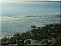 SJ3586 : Mersey Mudflats by Gerald England