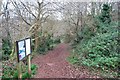 SX8862 : Footpath, Occombe Woods by Paul Hutchinson