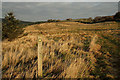 NT5037 : A walking route on Blaikie's Hill by Walter Baxter