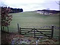  : Pitcarmick hill pasture by Rob Woodall