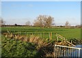 TL3671 : View across Great Ouse flood plain by Mr Ignavy