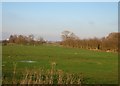 TL3671 : Great Ouse flood plain by Mr Ignavy