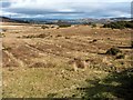 NS3678 : Area of Carman Muir scored with ditches by Lairich Rig