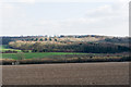  : Mixed woodland in Dur Wood by Peter Facey