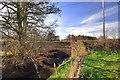 SO4430 : Bridge near Kilpeck by Stuart Wilding