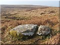 NS4481 : Unfinished millstone at Red Brae by Lairich Rig