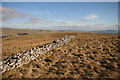  : Dry stone wall by Helen Wilkinson