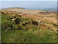 NS4381 : Remains of lime-kiln by Lairich Rig