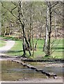 SJ9820 : Stepping stones over the Sher Brook - 21 Apr 09 by Michael Marsh