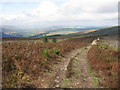 NT4231 : Southern Upland Way west of the Three Brethren by G Laird