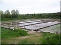 SU0212 : Watercress beds, Wimborne St Giles by Maigheach-gheal