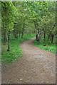 SK6267 : Public Bridleway in Sherwood Forest Country Park by Kate Jewell