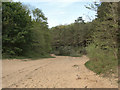 SS8777 : Wooded valley just to the north of Candleston Castle by eswales