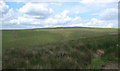 SS9591 : Upland grazing by the head of Cwm y Fuwch by eswales