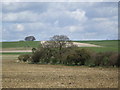 SU1069 : Wiltshire Downs opposite The Avenue, Avebury by nick macneill