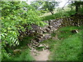 SD8166 : Ribble Way below Stainforth Lane by Chris Heaton