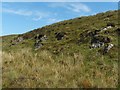 NS4578 : Rock outcrop at Little Saughen Brae by Lairich Rig