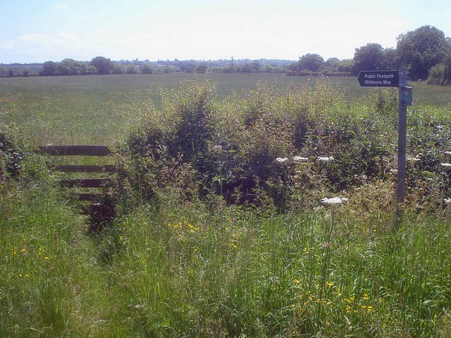 The Whitmore Way near Corse