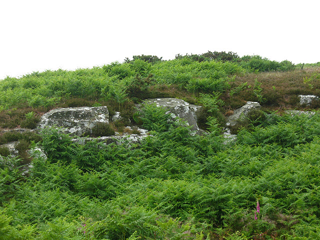 Rock outcrop on Weetwood Moor