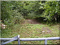 TM3764 : Former Road & entrance to Bullockshed Wood by Geographer