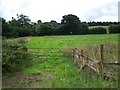 ST1939 : Footpath Near Nether Stowey by Geoff Pick