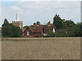  : Gilston - church and cottages by Stephen Craven