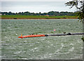 TL1467 : Grafham Water by Christine Matthews