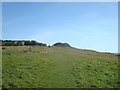 SY0279 : Coast Path, High Land of Orcombe, Exmouth (set of 4 images) by Stacey Harris