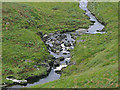 SN7854 : Afon Camddwr north of Soar-y-Mynydd, Ceredigion by Roger  D Kidd