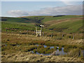 SN8693 : Bog and stile on Llechwedd Du by Nigel Brown