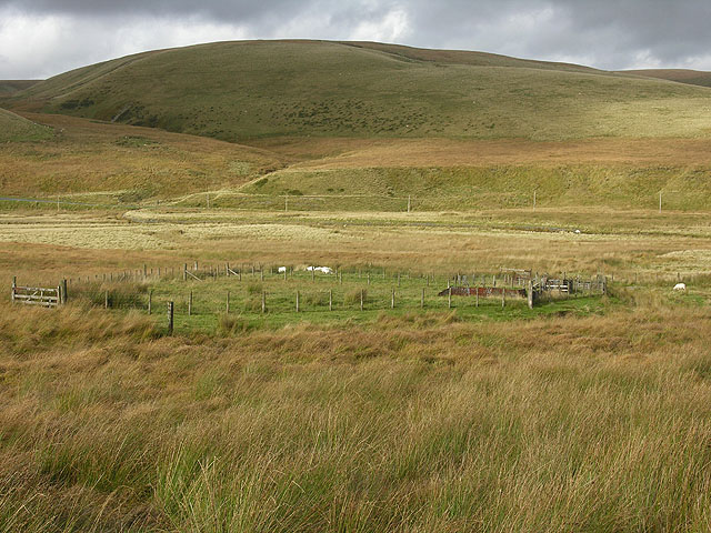 Sheep pens on Banc y Defaid