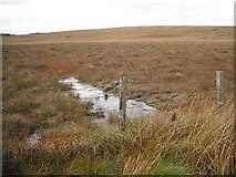 NS5091 : Very wet ground below Bàt a' Charchel by Richard Webb