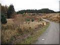 NS5093 : Forest road near Badivow by Richard Webb