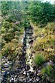 NG8871 : Cascade at Loch Maree by Astrid H