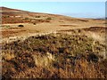 NS3678 : The first of a group of three cairns by Lairich Rig