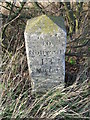 TM1888 : Old Milestone by Keith Evans