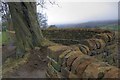 NZ6109 : New Stone Walling at Kildale by Mick Garratt