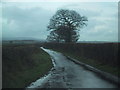 SX8492 : Lane to Tedburn St Mary over Haccadown by Sarah Charlesworth