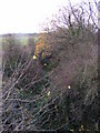 TG0524 : Dismantled Railway, off Reepham Road,Themelthorpe by Geographer