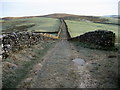 SD8072 : Harber Scar Lane by Chris Heaton