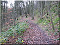 SK2276 : Footpath above Hollow Brook near Eyam by Chris Wimbush