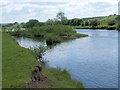 NS7653 : The River Clyde near Lower Carbarns by Lairich Rig