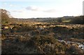 SX6589 : Moorland, Buttern by Derek Harper